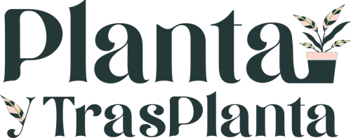 PLANTA Y TRASPLANTA TIENDA ONLINE DE PLANTAS